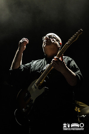 Frank Black in concert