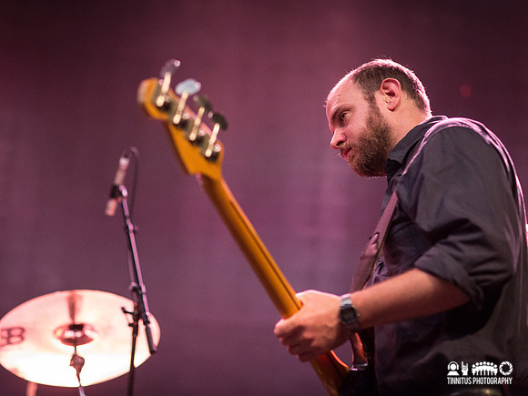 Swans in concert