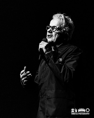 Devo in concert