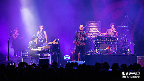 Midnight Oil in concert