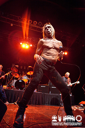 The Stooges in concert