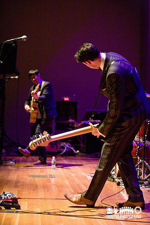 The Mountain Goats