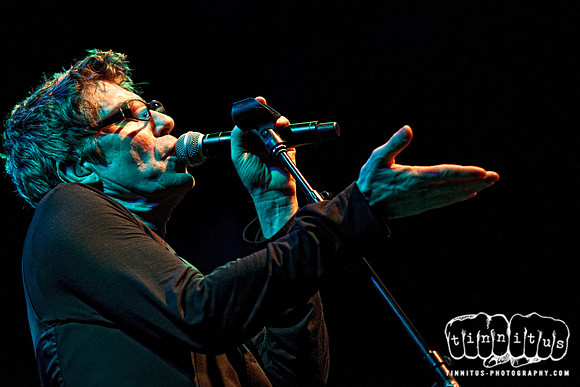 Psychedelic Furs in concert