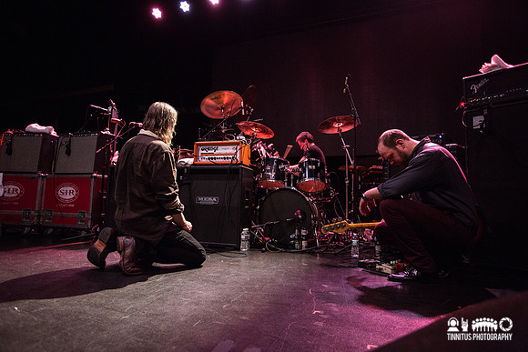 Swans in concert