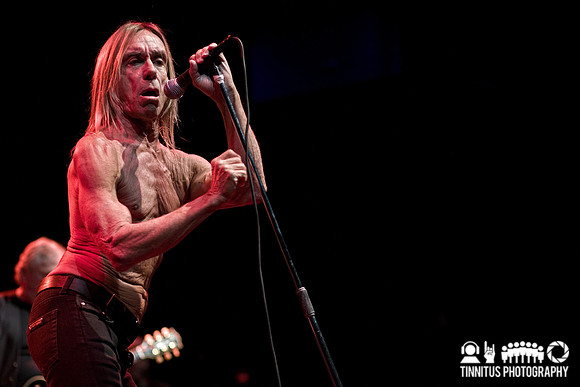 The Stooges in concert
