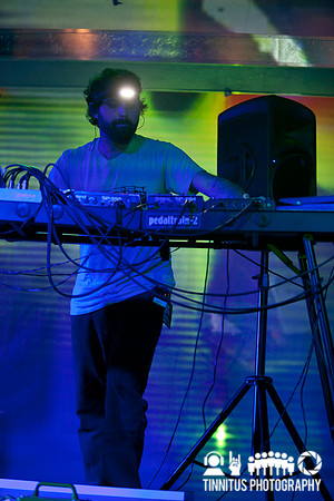 Animal Collective headline the first of two nights at day two of