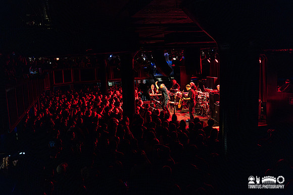 Swans in concert