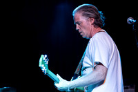 Lupo Citta in concert