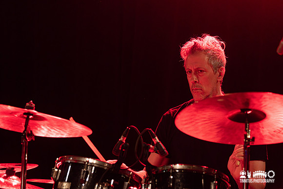 Swans in concert