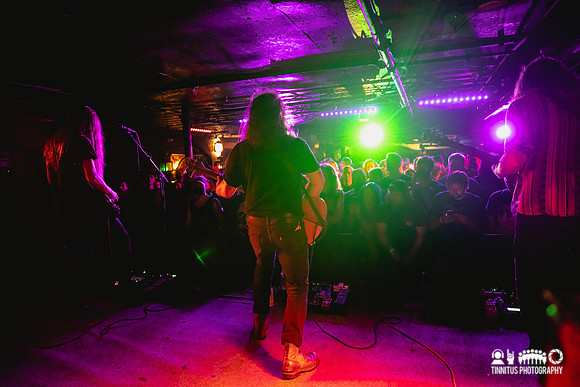 Elder in concert