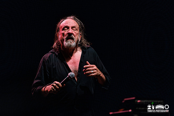 The Jesus Lizard in concert