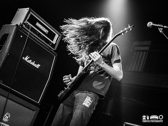 Elder in concert