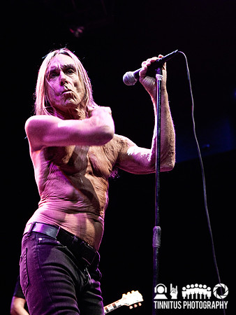 The Stooges in concert