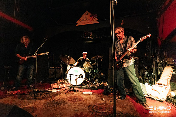 MSSV in concert