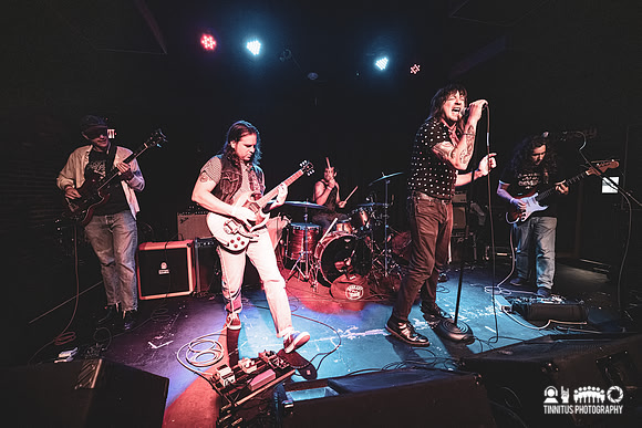 Red Herrings in concert