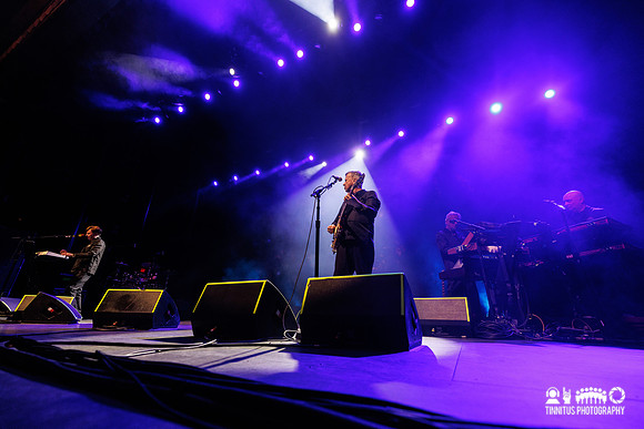 Devo in concert