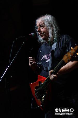 The Bevis Frond in concert