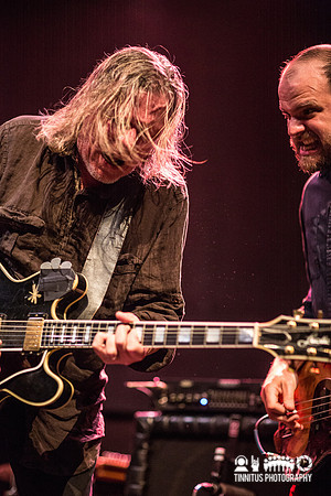 Swans in concert