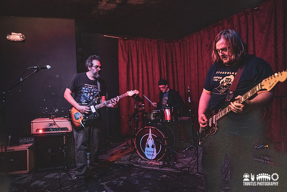 Osmia in concert