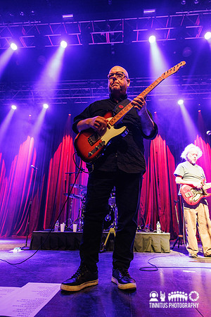 Frank Black in concert