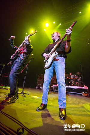 Blue Oyster Cult in concert
