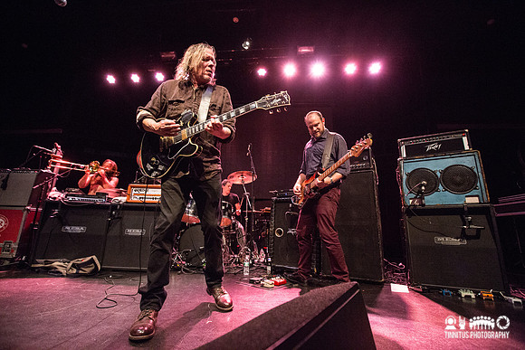 Swans in concert