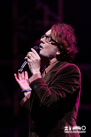 Pulp in concert