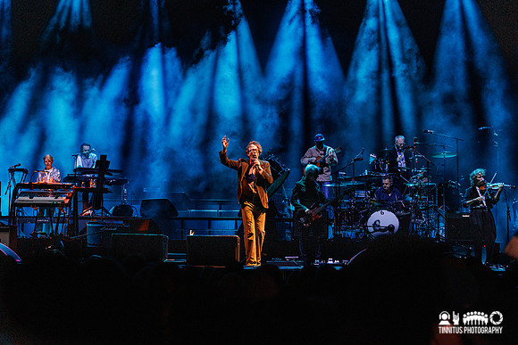 Pulp in concert