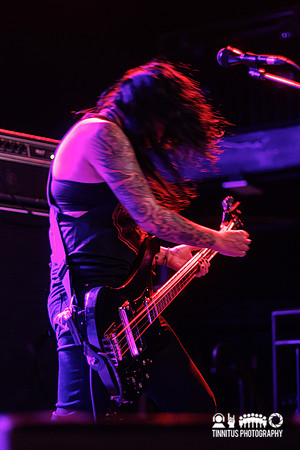 Year of the Cobra in concert
