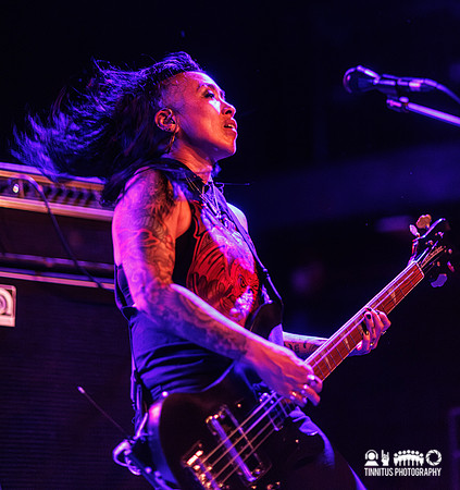Year of the Cobra in concert