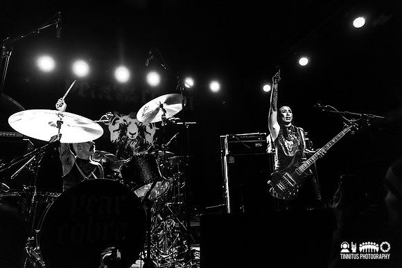 Year of the Cobra in concert