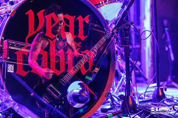 Year of the Cobra in concert