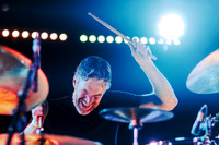 Minibeast in concert