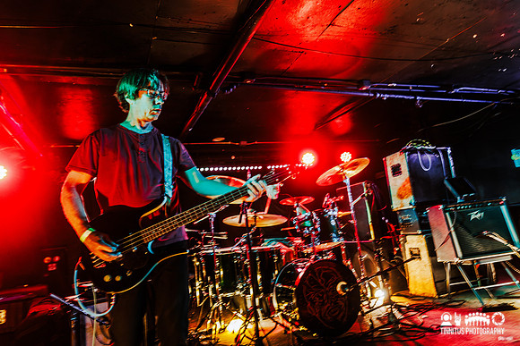 Minibeast in concert