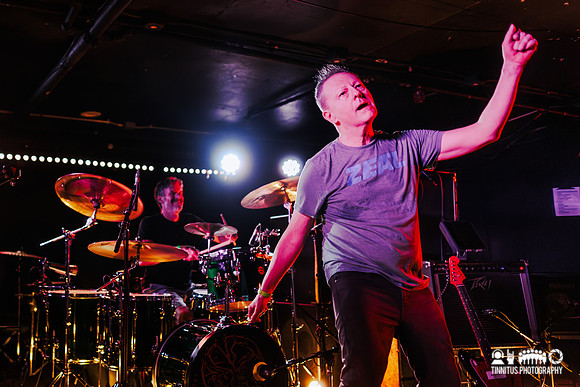 Minibeast in concert