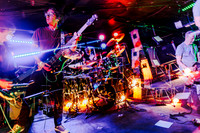 Minibeast in concert