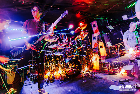 Minibeast in concert