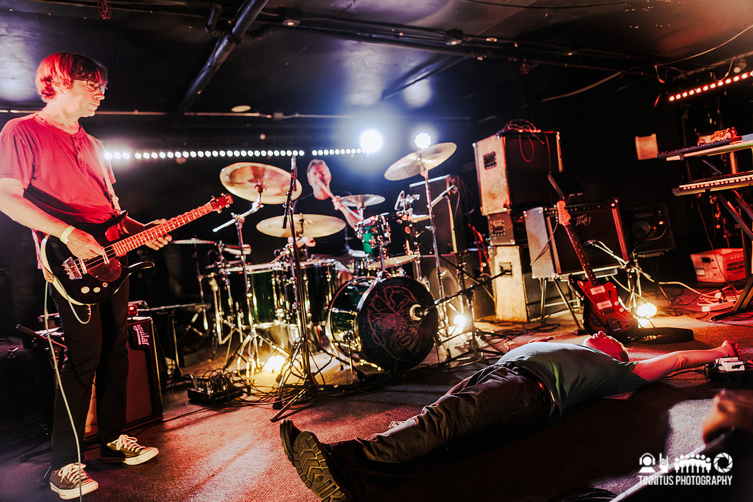 Minibeast in concert