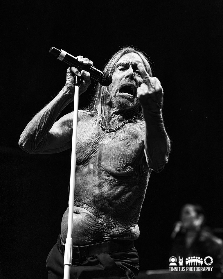 Iggy Pop in concert