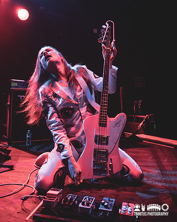 Melvins in concert