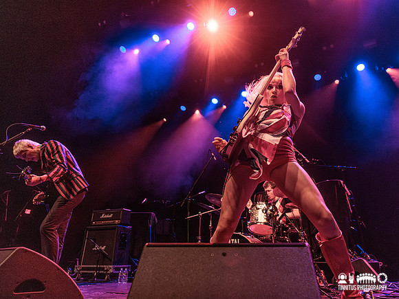 The Molotovs in concert