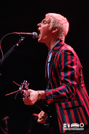 The Molotovs in concert