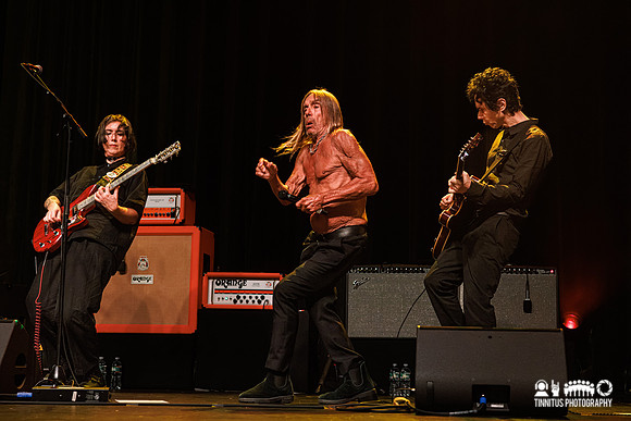 Iggy Pop in concert