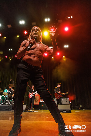 Iggy Pop in concert