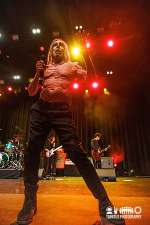 Iggy Pop in concert