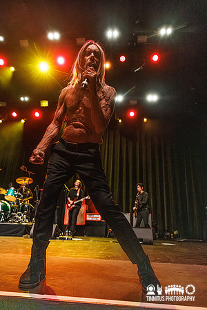 Iggy Pop in concert