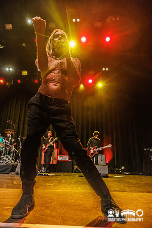 Iggy Pop in concert