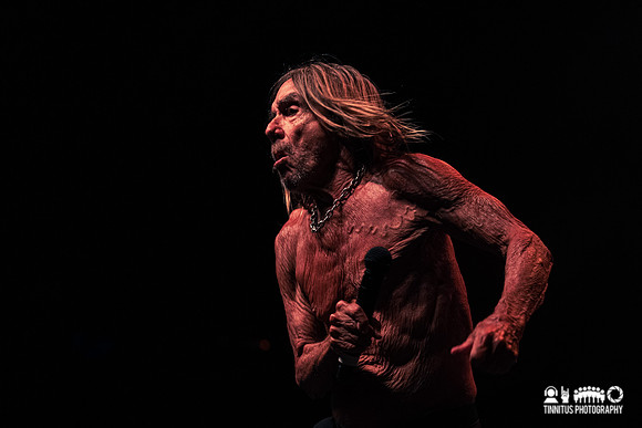 Iggy Pop in concert