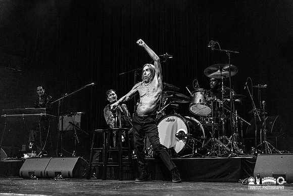 Iggy Pop in concert