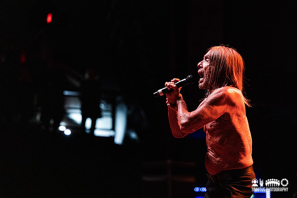 Iggy Pop in concert